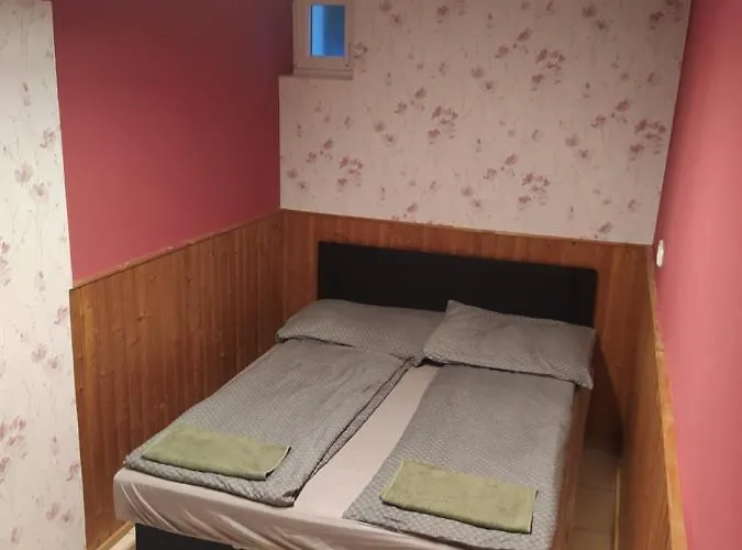 Pingpong * Soltvadkert