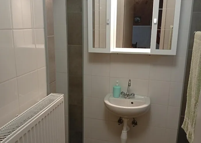 Pingpong 아파트 숄트버드케르트