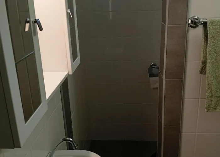 Pingpong 숄트버드케르트