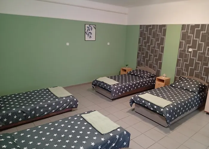 Pingpong Daire Soltvadkert